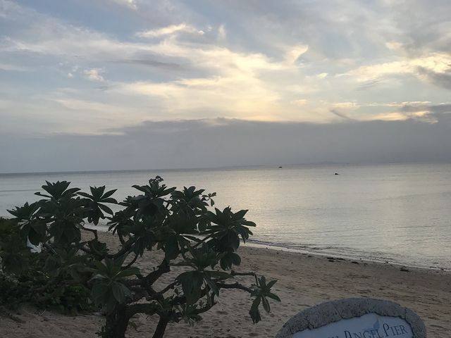 �r�[�`_�t�T�L�r�[�`