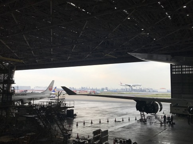 �i�[�ɂ��犊���H_JAL �H�ꌩ�w Sky Museum