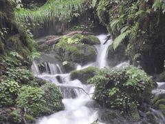 zin����̒��C�R����ւ̓��e�ʐ^1