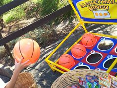 NKY̍䥗΂̃~[WA n[xXg̋uւ̓eʐ^1