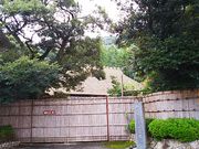 �˂�����񂳂�̏㎞���Ƃ̓��e�ʐ^6