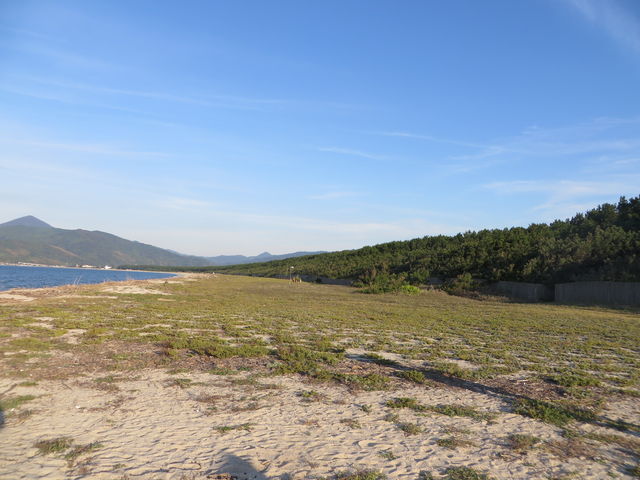 ���l_���̕l�C������