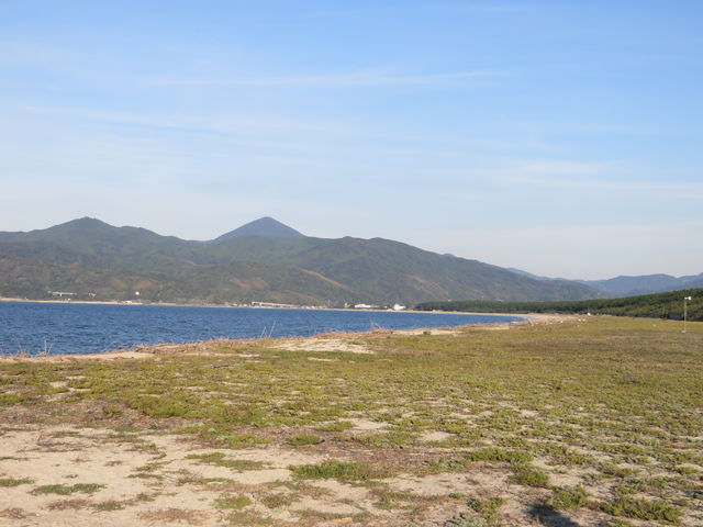 ���l_���̕l�C������