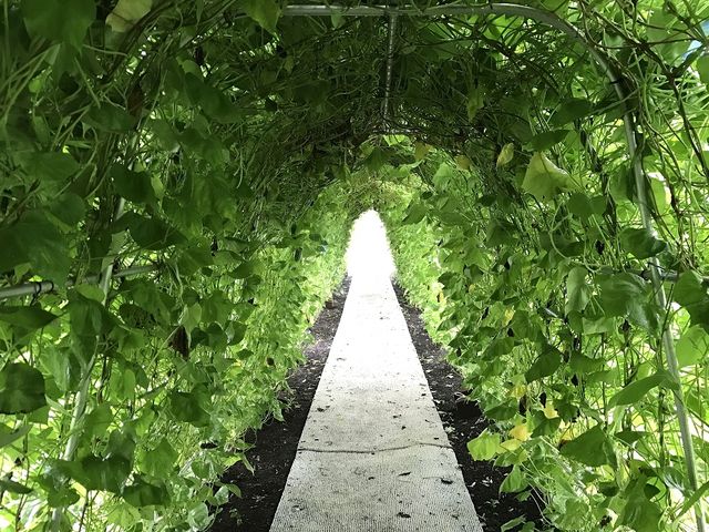 pm}Xg֍srɂw̓Wx_PRXX