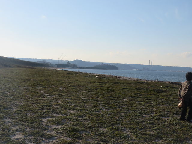 ���Â̒�����_���Øp�i���̕l�j