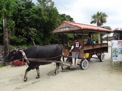 SHIN����̐����Ԋό��ւ̓��e�ʐ^1