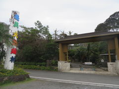 Ԃ񂳂̉哇ۑւ̓eʐ^1