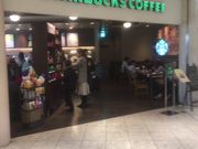 񂳂̃X^[obNX R[q[ AglJXiStarbucks Coffeej̓eʐ^1