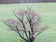 yosshy̍璬̈{̓eʐ^1