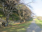 Ԃ񂳂̖쉮Ղ̍̓eʐ^1