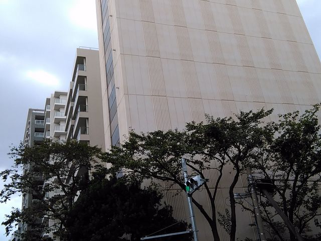 ���̃r����������̖ڈ�_���F��