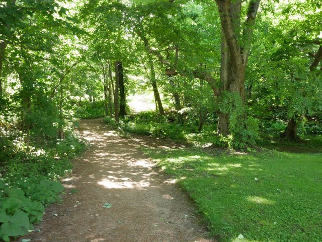 �U��ɍœK�ł�_�k�C����w�A����