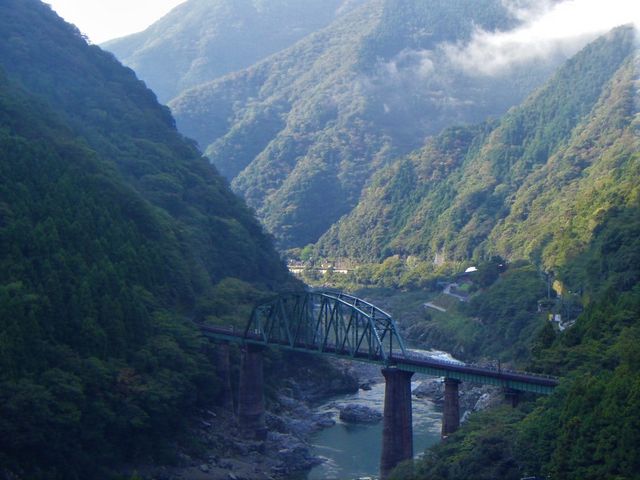 �T�����o�[�����̂V�K�����i��]��_����륏�����