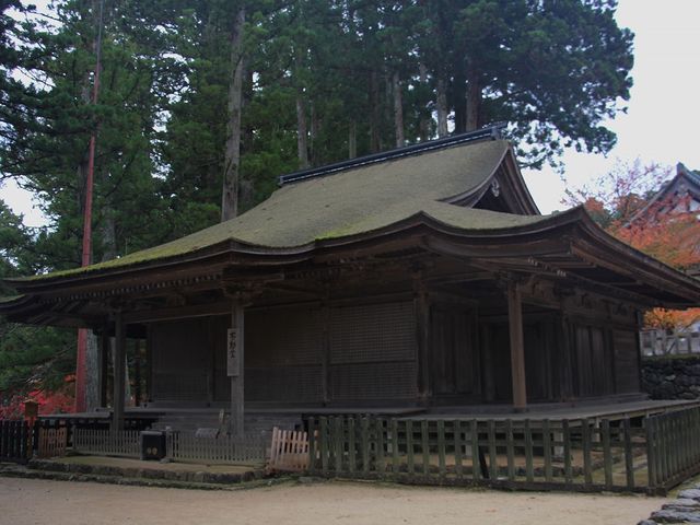 �݂�傫���Ƃ����D���Ȏp�ł��B_�s����