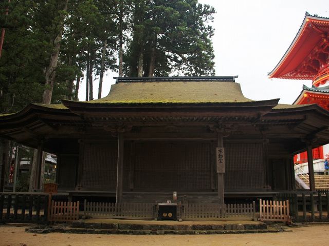 ���ʂ��猩�Ă��������B_�s����