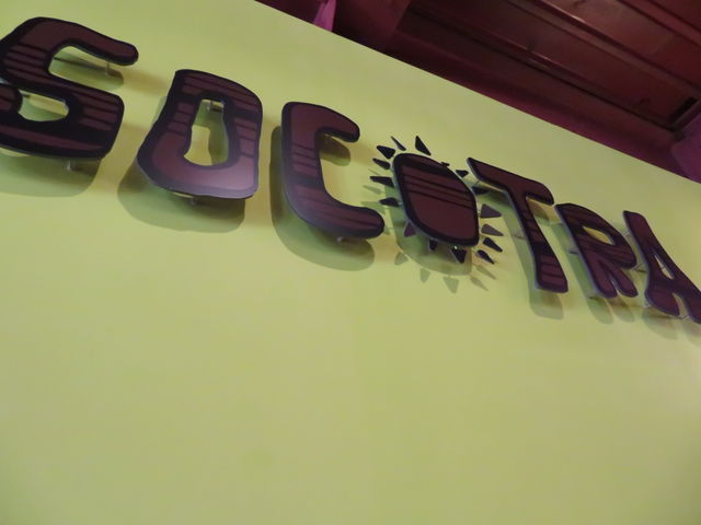 yosshySOCOTRA CAFE̓eʐ^3