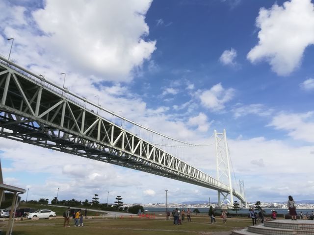 ̉w 킶 AJCWp[N_̉w 킶 AJCWp[N