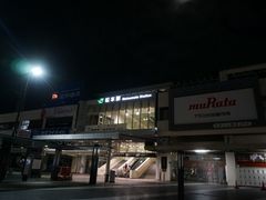 ܂[܂񂳂̂iq{wւ̓eʐ^1