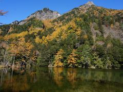 ܂[܂񂳂̖_rւ̓eʐ^1