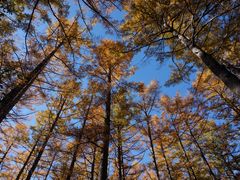 ܂[܂񂳂͓̉ւ̓eʐ^3