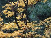 Yanwenli̖{o@̓eʐ^3