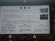 ���񂿂�񂳂�̊Б��ό����Y�R���x���V��������̓��e�ʐ^1