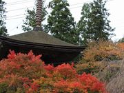 Yanwenli����̋��֓��̓��e�ʐ^1