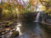 HIDE139̃}[mkJ̓eʐ^1