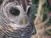 sNt[Y̏Óӂ낤M[̓eʐ^1