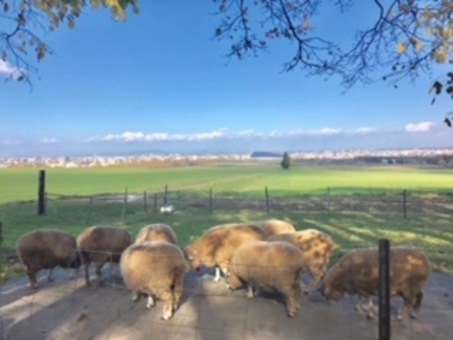 �r���u�W�]��_�����ۂ�r���u�W�]��