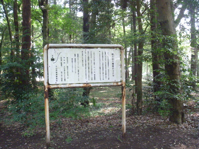 gV[̊ԁXc{̃Ri̓eʐ^1