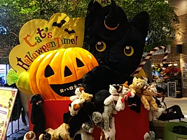 Ag@͔̎Lł_Ƃ@AggˎX