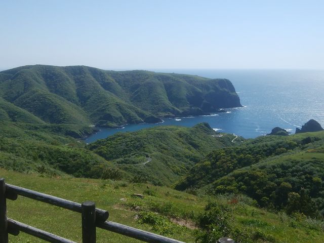 ����C��_�B�򍑉�C��