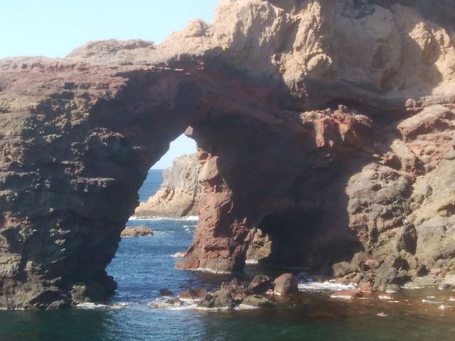 ����C��_�B�򍑉�C��