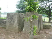 gV[̓ނӂꂠ̋u̓eʐ^1