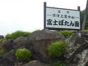 gV[̕xmڂ񉀂̃{^̓eʐ^1