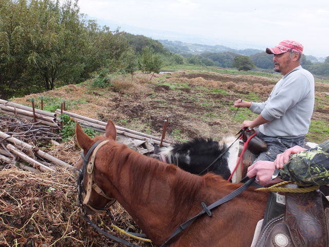 �r���̂���^�C��_�z�[�X�L�����v�@������