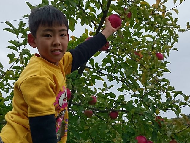 ��������̕i��
���낢��H�ה��_�c����񂲉�