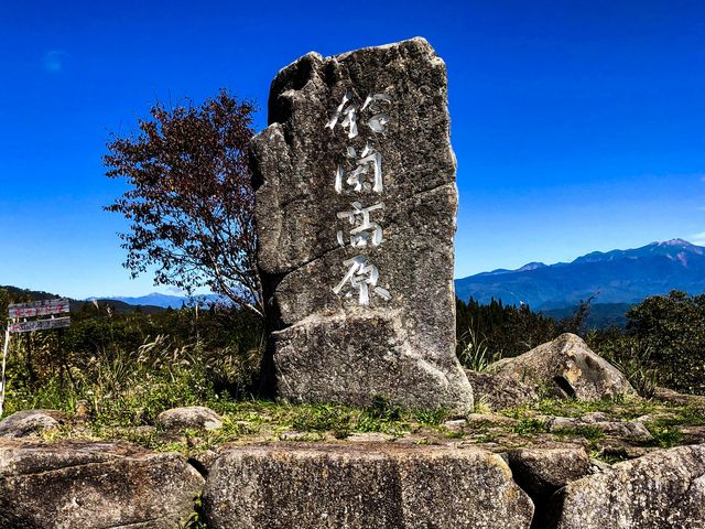 �闖�����̔�B_�闖����