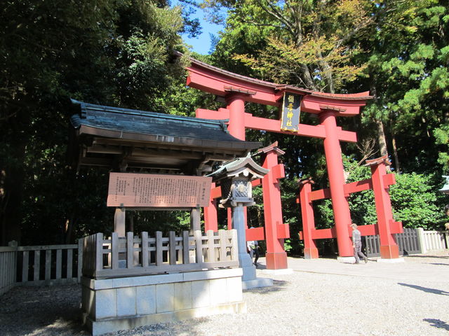 ��̒���_�\�F�_��