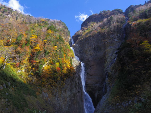 �^�񒆂̑����ꂪ�̖���B�E���ׂ̍����ꂪ�n���m�L��ł��B_�̖���