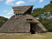 �����̂�������̏��퐶���Z���Ղ̓��e�ʐ^1