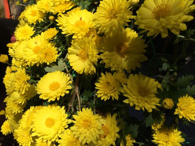 �e�����ꂢ_�{�錧�썑�_��