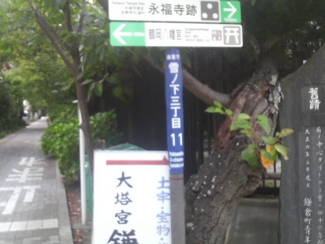 ��q���{�Ք�A���艜�֍s���ƌ������̂���Ɏ���܂��B_��q���{�Ք�