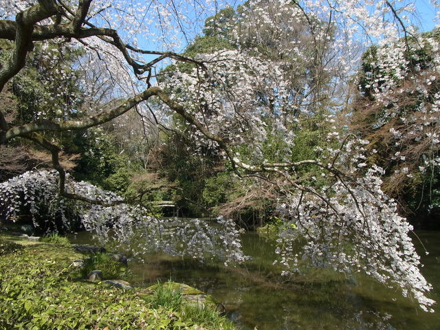 ���s�䏊�@�߉q�̍�_���s�䏊