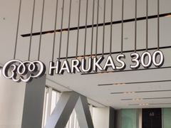 Ȃ΂񂳂̃nJX300ւ̓eʐ^1