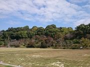 񂿂񂳂̈ʎВc@lerό̓eʐ^1