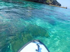 񂳂̃JbNNu@ObhCtւ̓eʐ^1