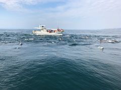 kai̓쓇CJEHb`Oւ̓eʐ^1