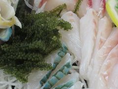 ��񂳂�̑��q�u���ݎs��ւ̓��e�ʐ^1